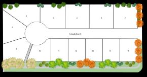 Spring Tree - Star, ID