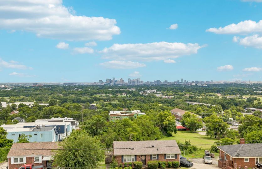 Rooftop View