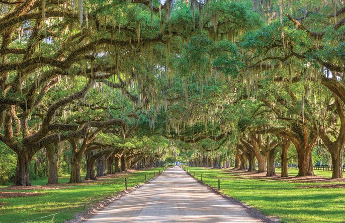 Nearby Venues like Boone Hall