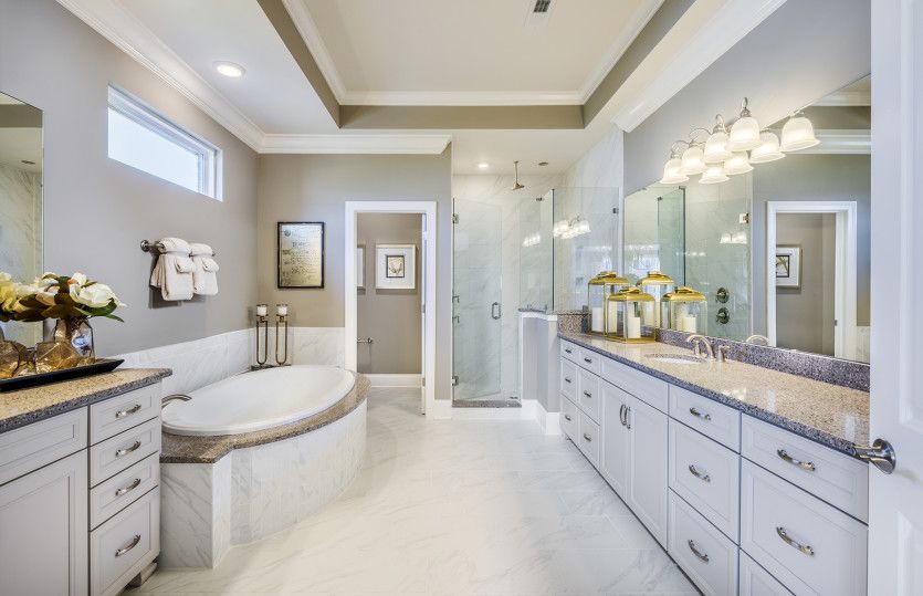 Owner's Bath Option 5