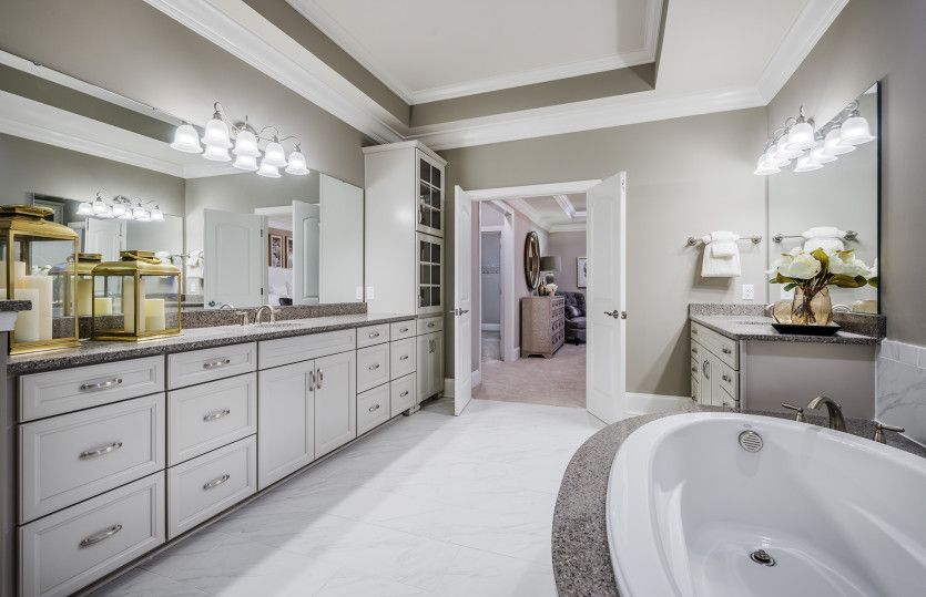 Owner's Bath Option 5