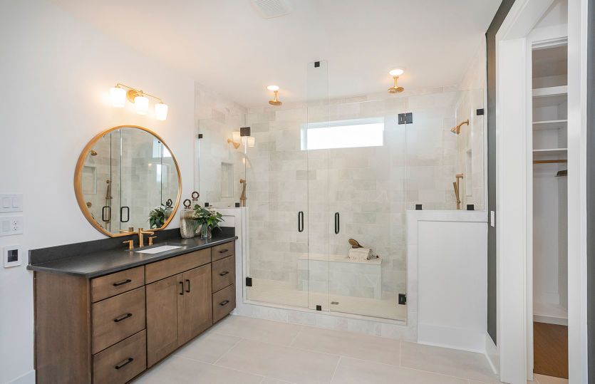 Owner's Bath