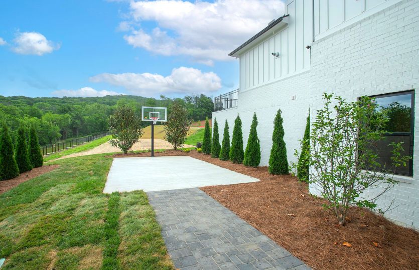 Basketball Court