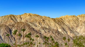 Palo Verde - La Quinta, CA