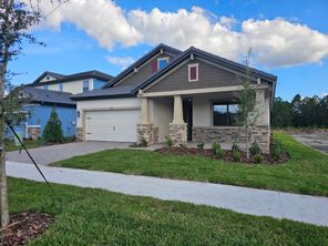 2194 Wise River Lane (50' - Sweetwater)