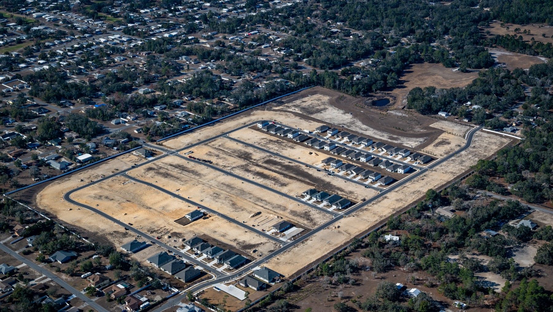 Pinecone - Aerial View