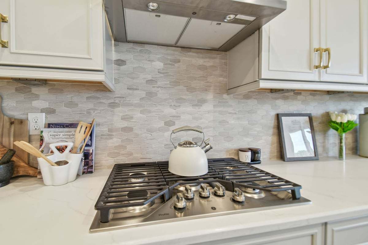 gas range with vent hood