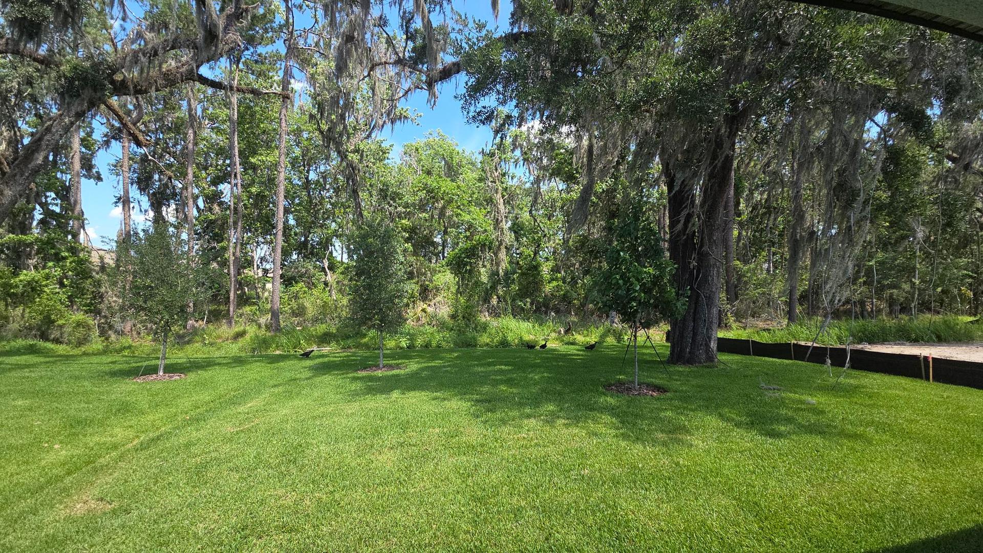 Solana Craftsman Elevation lot back yard