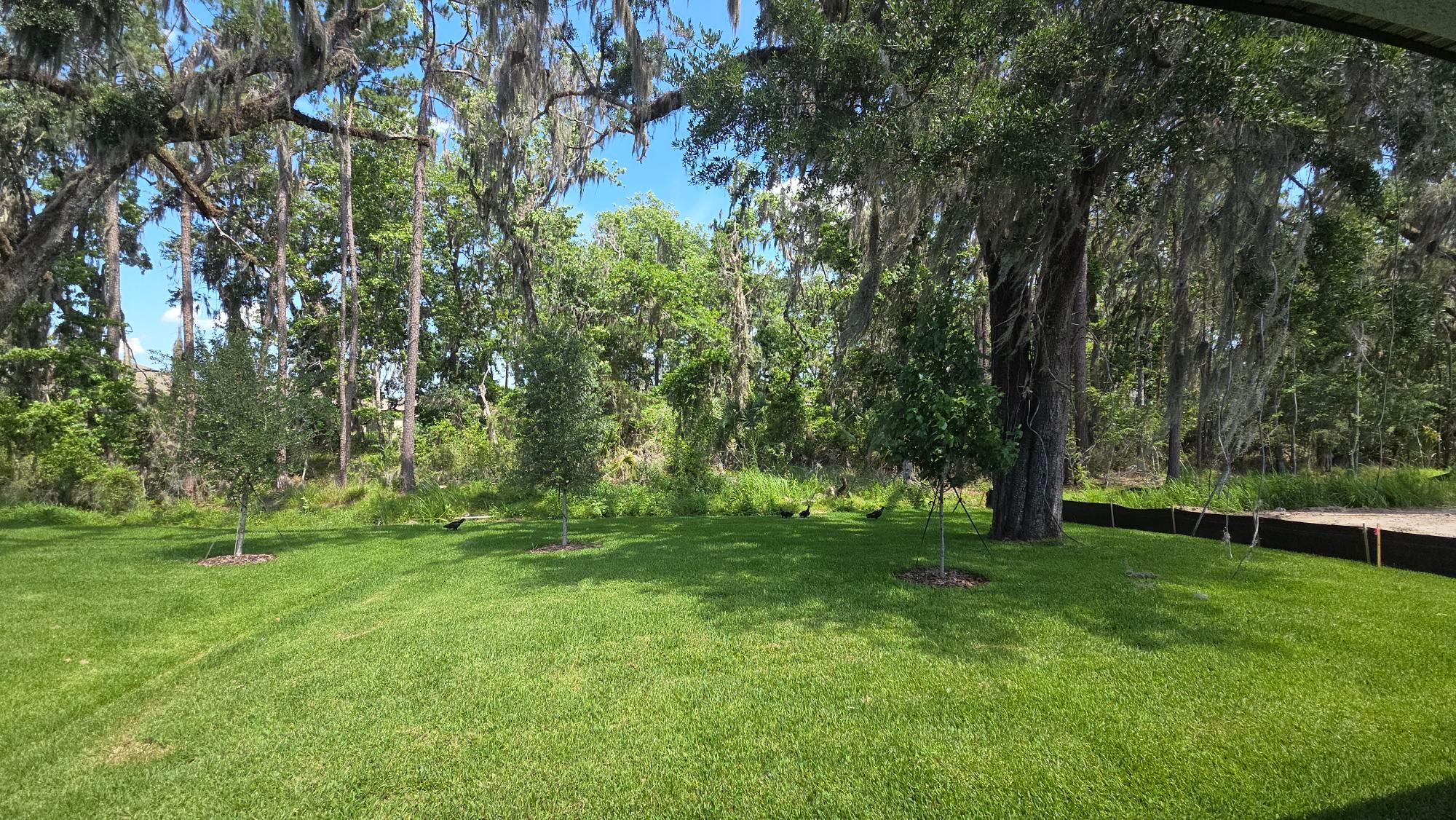 Solana Craftsman Elevation lot back yard