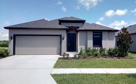 Juno by William Ryan Homes in Tampa-St. Petersburg FL