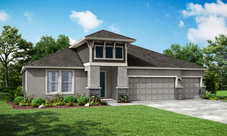 Sapphire by William Ryan Homes in Tampa-St. Petersburg FL