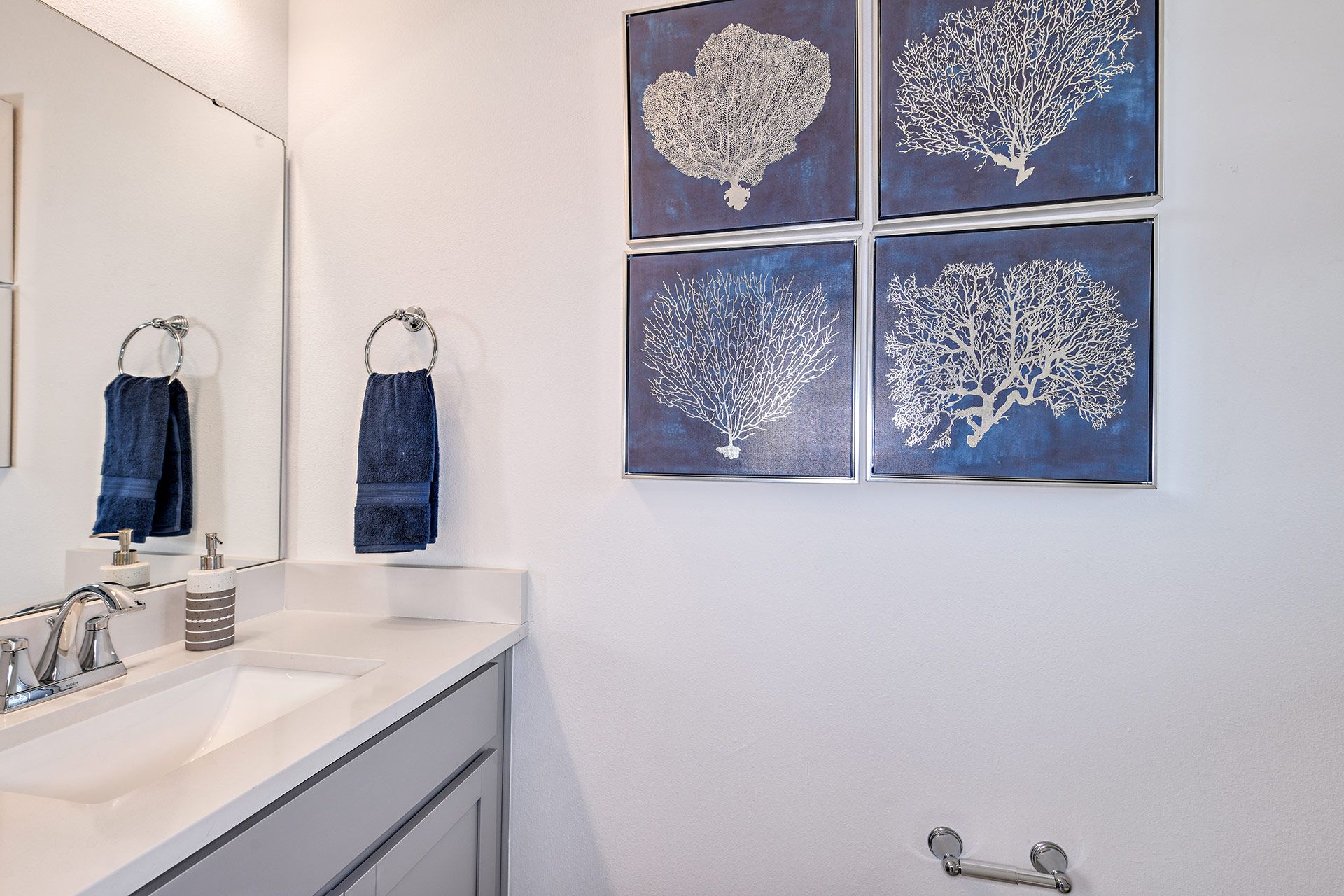 Jade model new home for sale at The Sanctuary at Babcock Ranch by William Ryan Homes Ft. Myers- Powder Bath