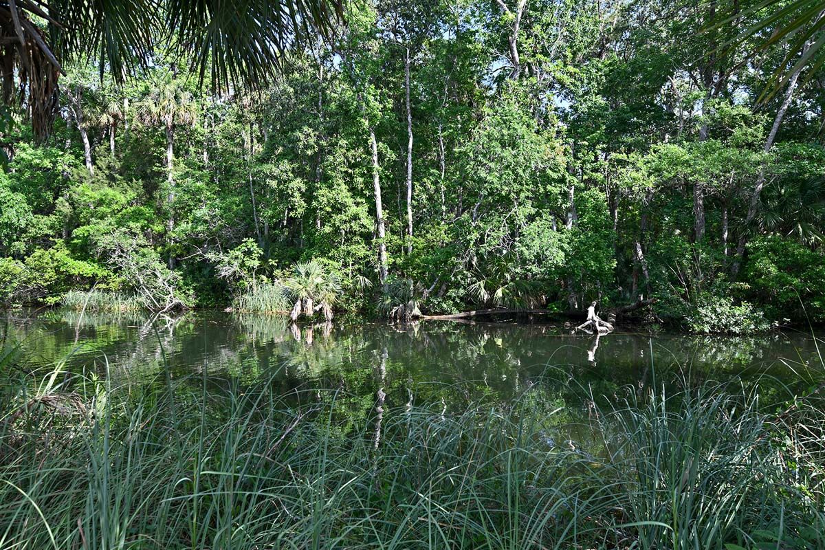 Rogers Park near Whiting Estates new home construction by William Ryan Homes Tampa