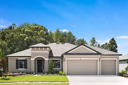 Carlingford by William Ryan Homes in Tampa-St. Petersburg FL