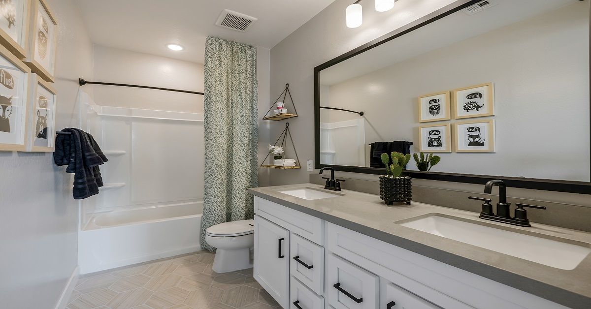 camelback new homes for sale eminence at alamar avondale az william ryan