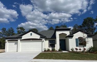 Strabane - Pinecone Reserve: Brooksville, Florida - William Ryan Homes