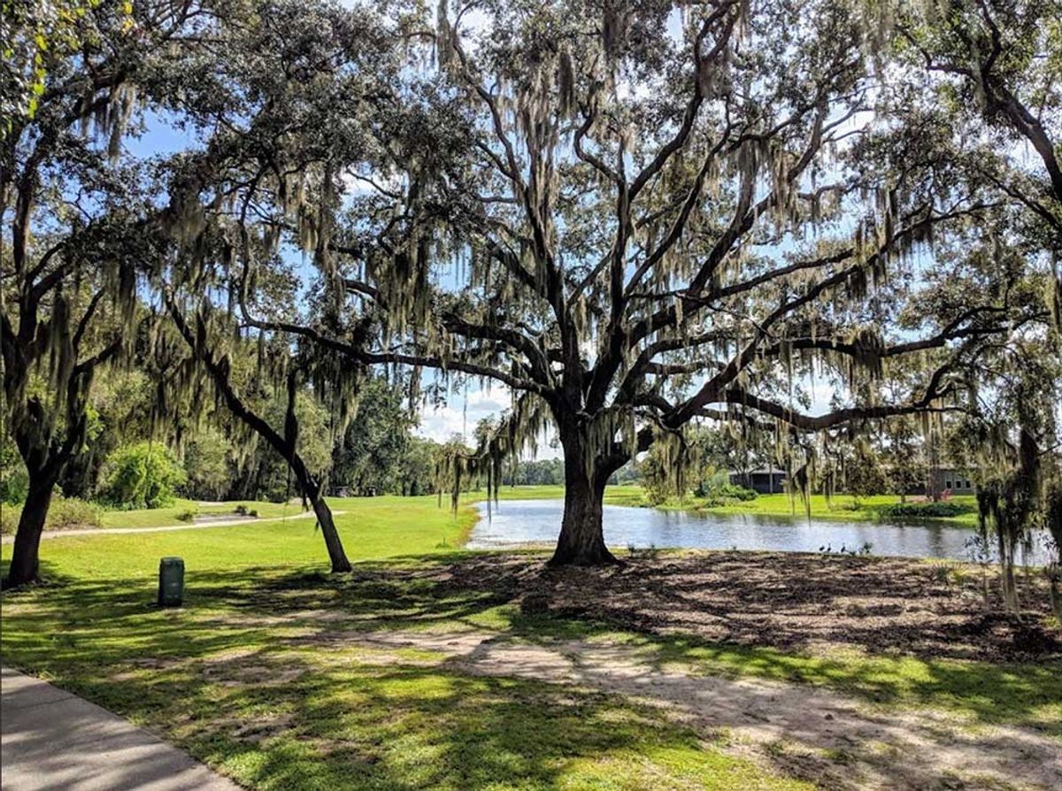 Fairway Pointe by William Ryan Homes Tampa
