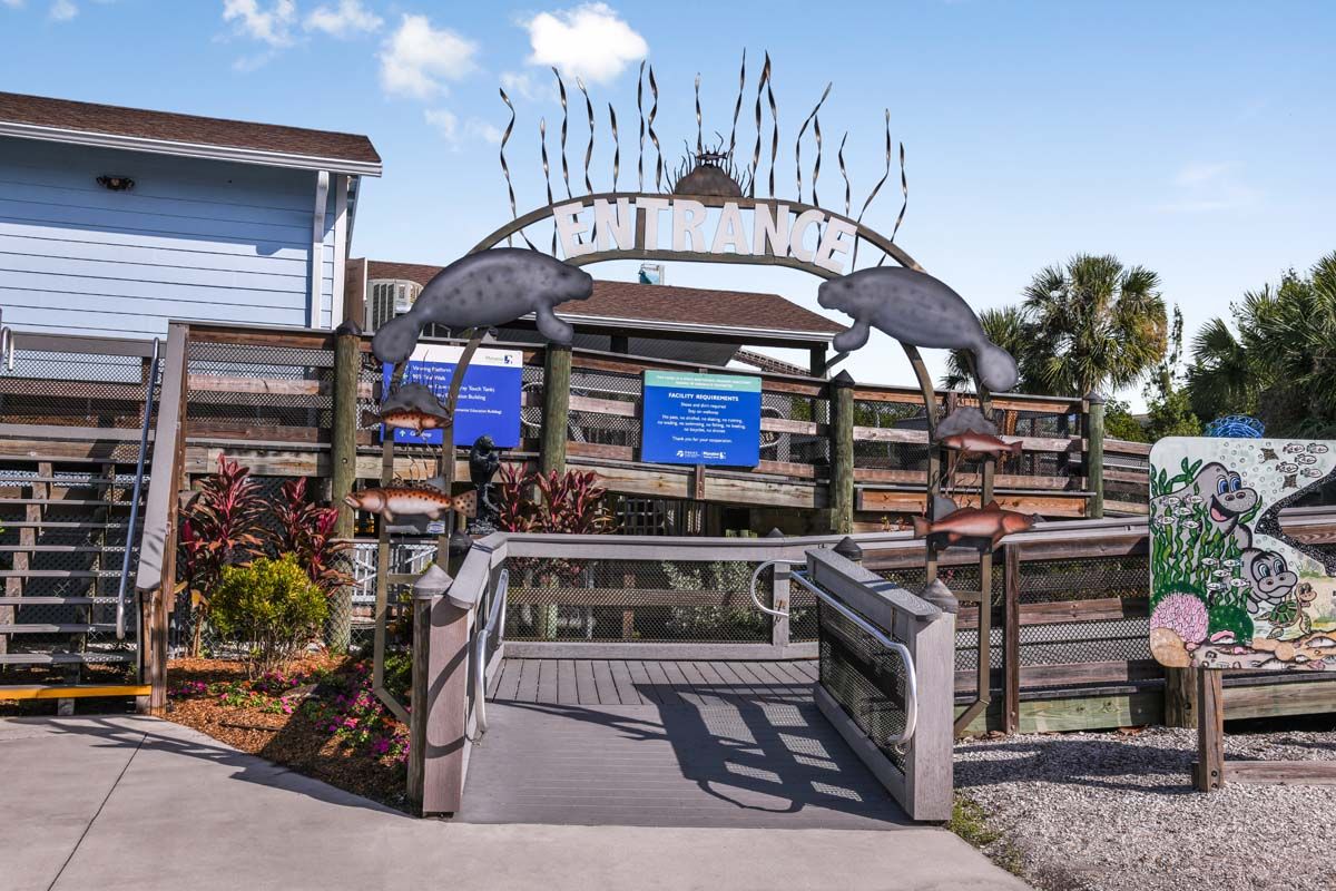 Manatee viewing center near Fairway Pointe Sun City Center, FL by William Ryan Homes Tampa