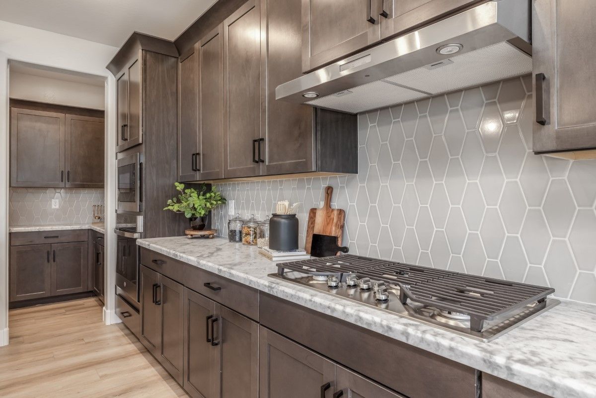 ash model home new homes for sale the grove at el cidro goodyear az william ryan