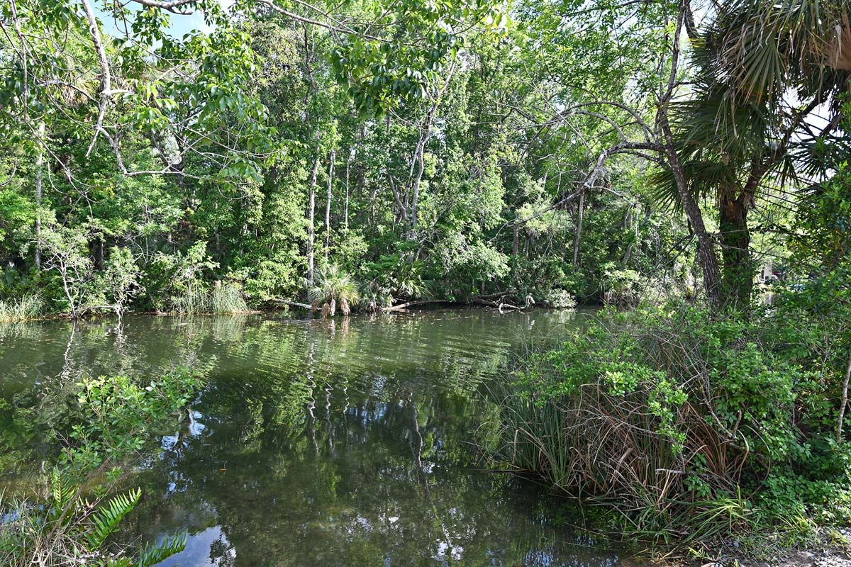 Rogers Park near Pinecone Reserve by William Ryan Homes Tampa