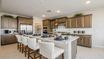 casa en Eminence at Alamar por William Ryan Homes