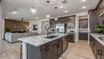 casa en The Grove at El Cidro por William Ryan Homes
