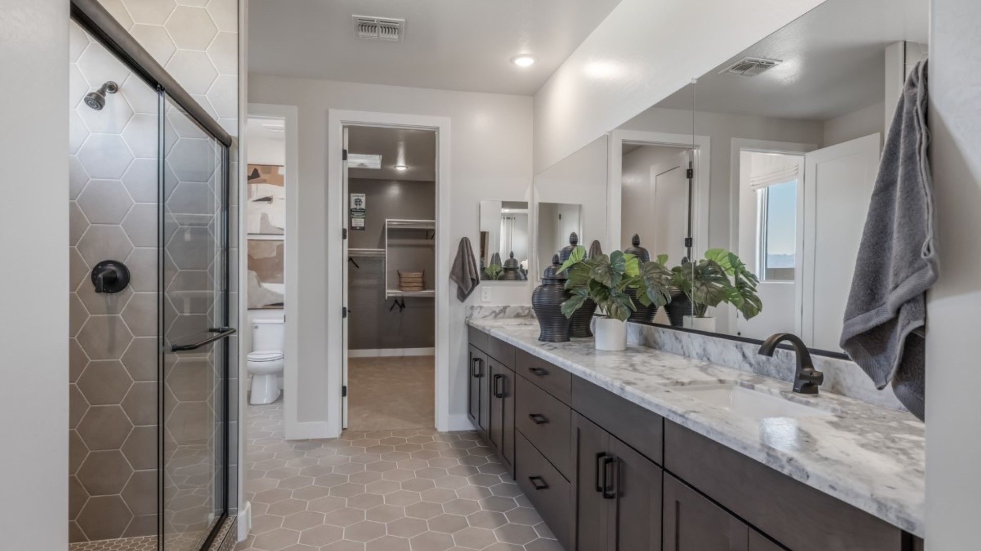 ash model new homes for sale the grove at el cidro goodyear az william ryan