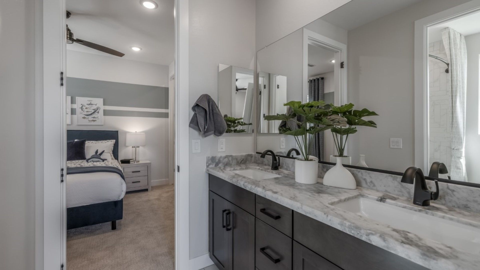 ash model new homes for sale the grove at el cidro goodyear az william ryan