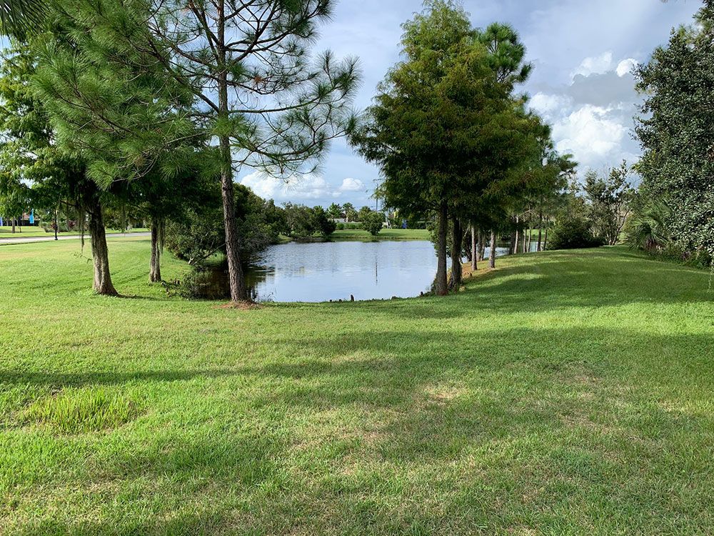 River Preserve Estates by William Ryan Homes Tampa