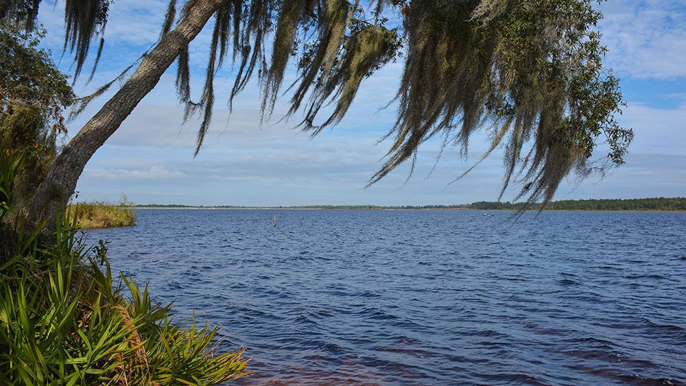 River Preserve Estates by William Ryan Homes Tampa