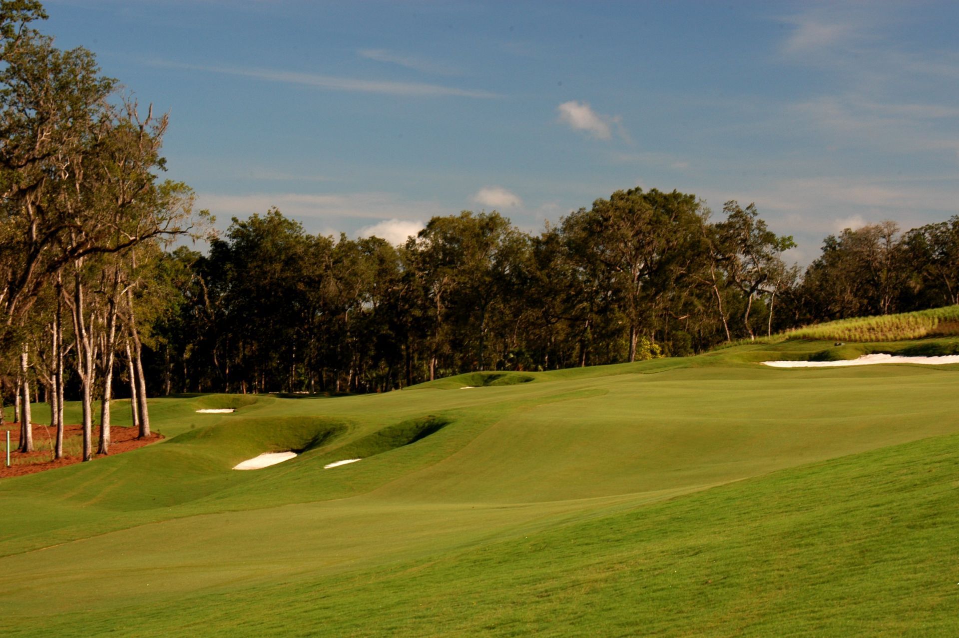 Southern Hills golf community clubhouse in Brooksville, FL William Ryan Homes Tampa