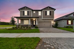 2436 Wise River Lane (50' - Juniper-FL)