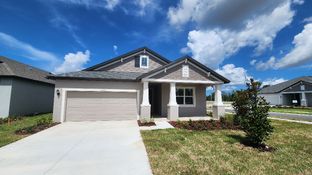 50' - Sweetwater - Pinecone Reserve: Brooksville, Florida - William Ryan Homes