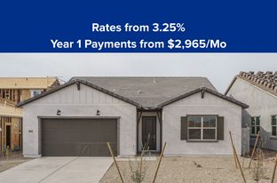 Ash - El Cidro - The Grove at El Cidro: Goodyear, Arizona - William Ryan Homes