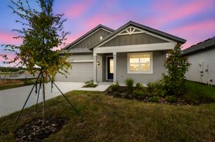 50' - Solana - Pinecone Reserve: Brooksville, Florida - William Ryan Homes