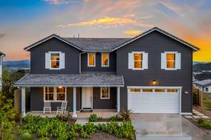 28710 Orange Park Drive (Orchard Plan 10)