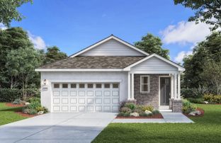 Plan 1 - The Enclave at Hidden Oaks: Georgetown, Texas - Williams Homes