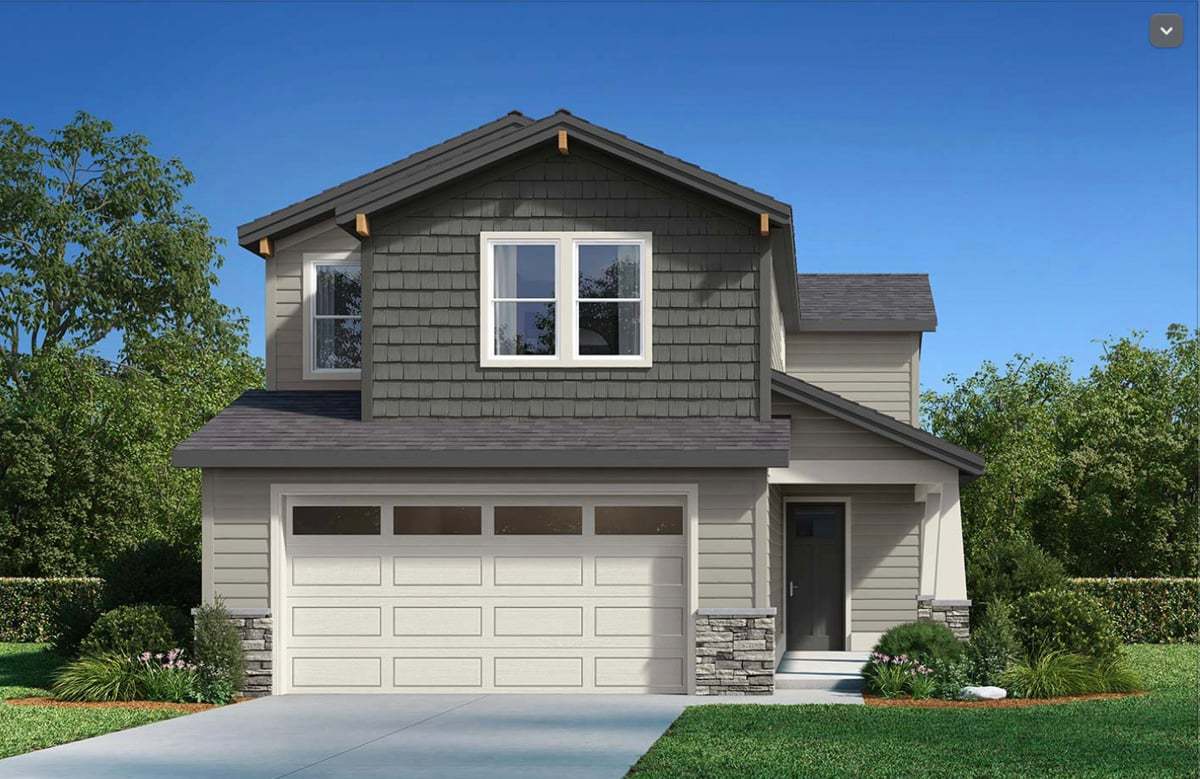 Dove - Craftsman Scheme 6