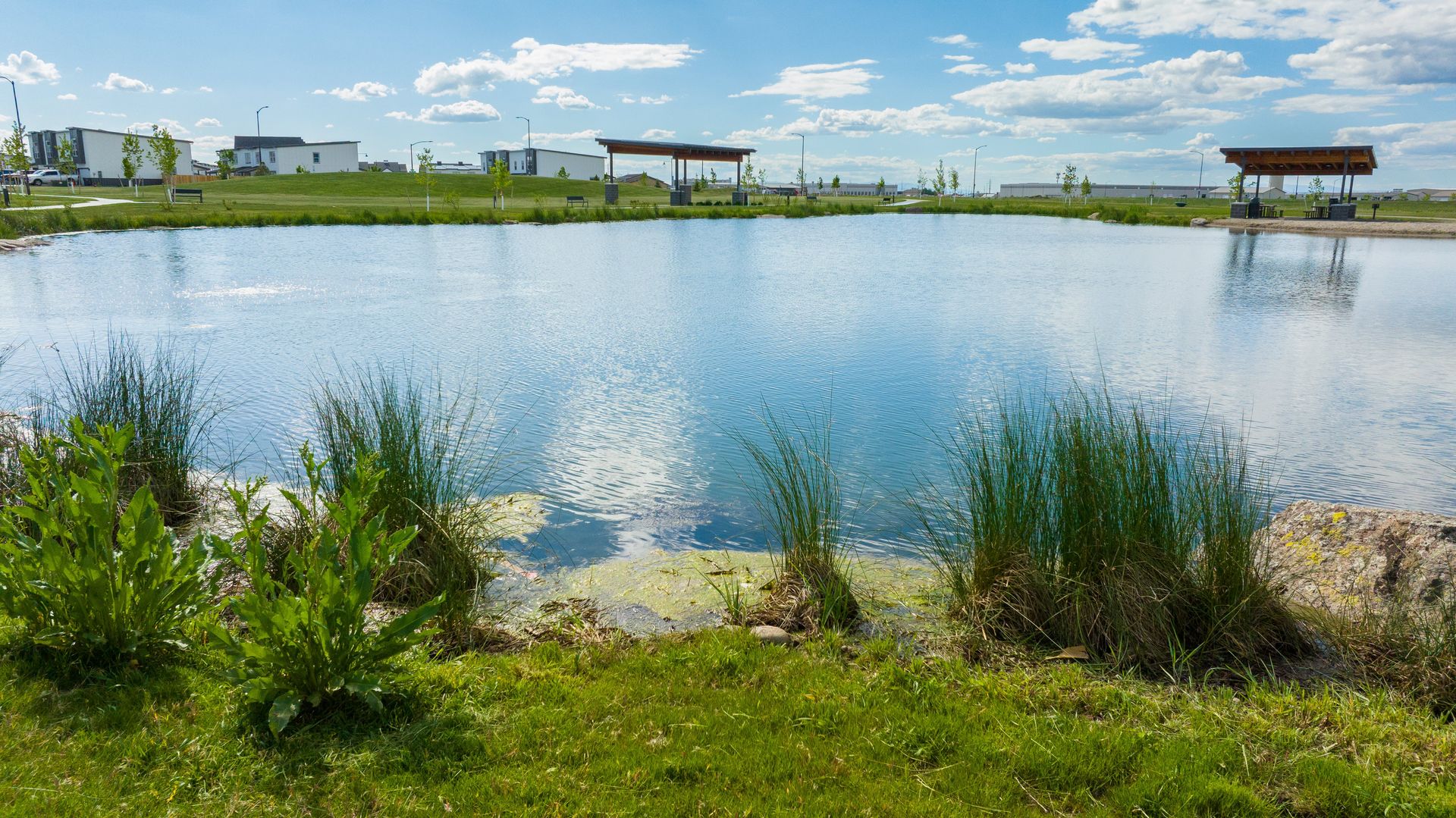 Swimming pond