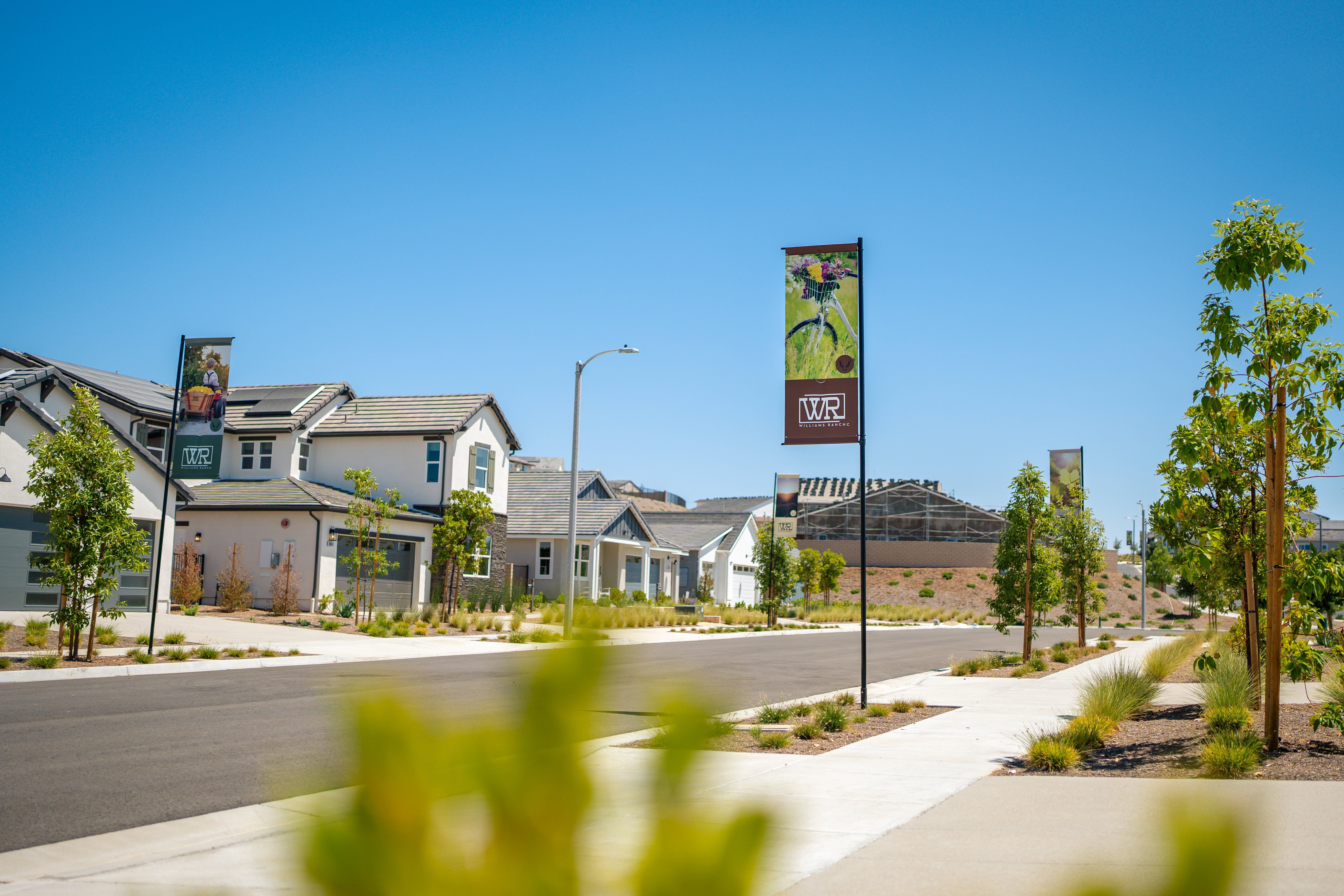 Williams Ranch Streetscape