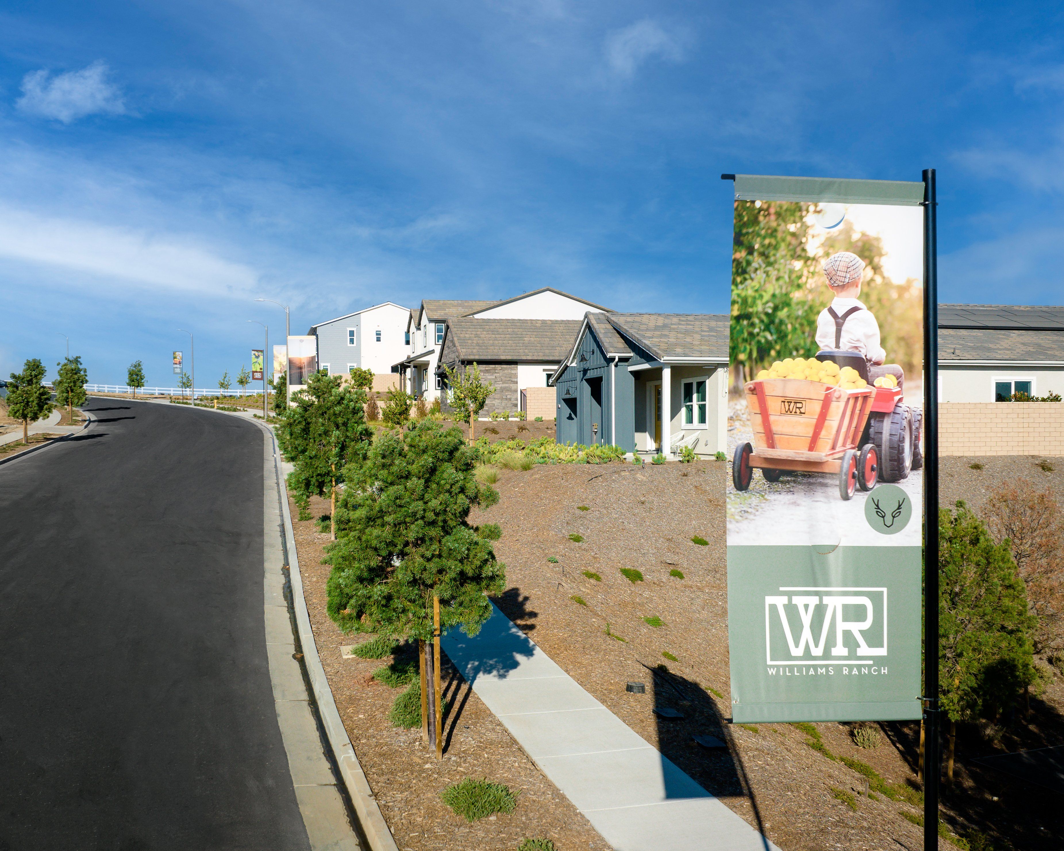 Williams Ranch Streetscape