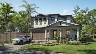 LIVE OAK - Winway Homes-BOYL: St Petersburg, Florida - Winway Homes