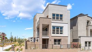 Rowan Plan 6 - Vireo in Summerlin: Las Vegas, Nevada - Woodside Homes