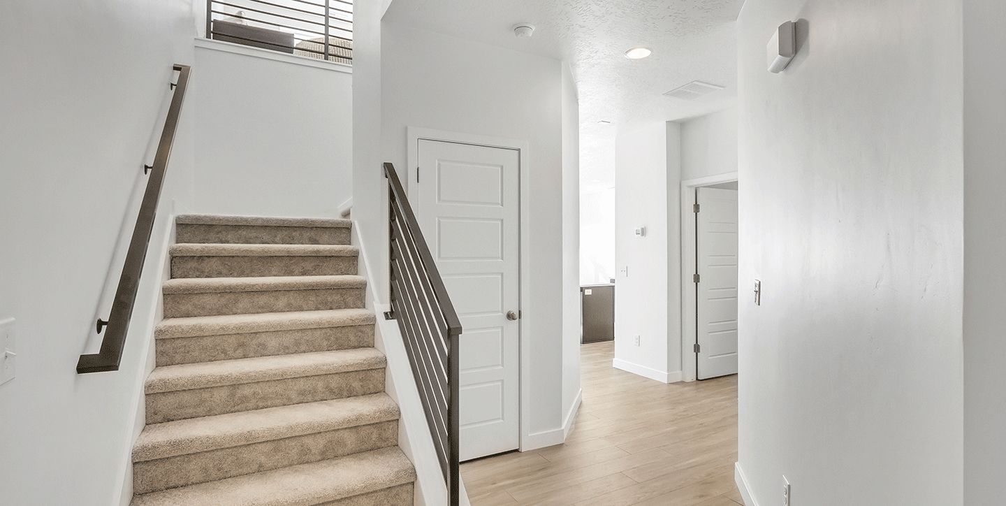 Salt Point Legacy Yale