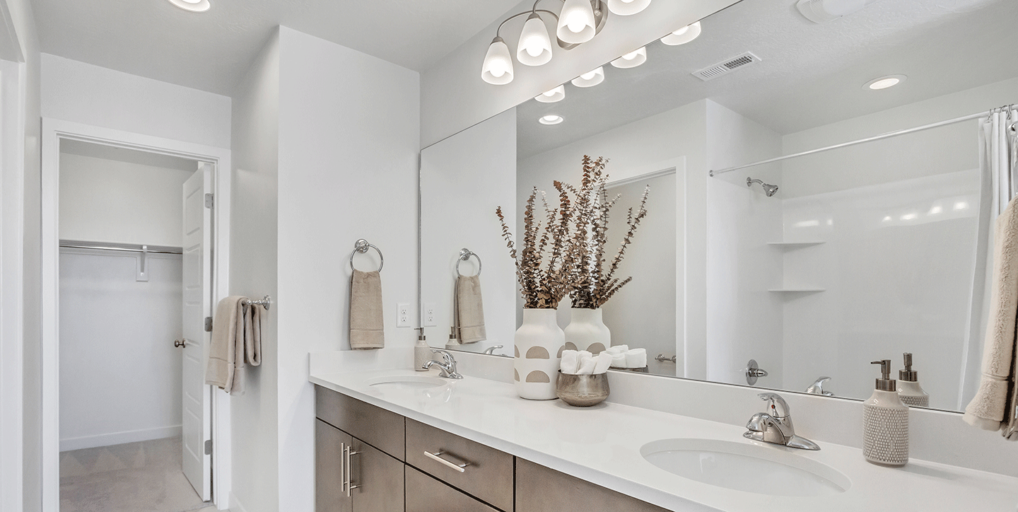 Salt Point Legacy Yale