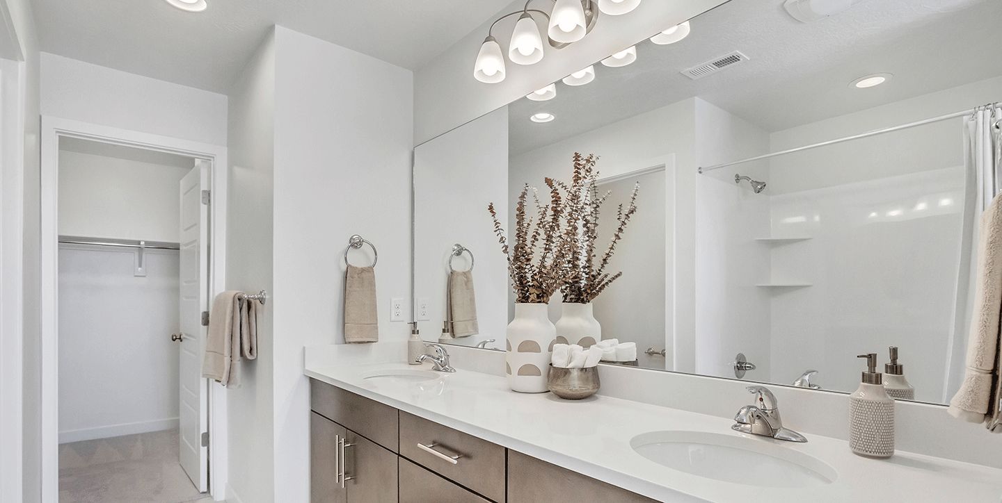 Salt Point Legacy Yale