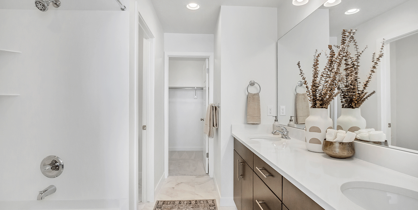 Salt Point Legacy Yale