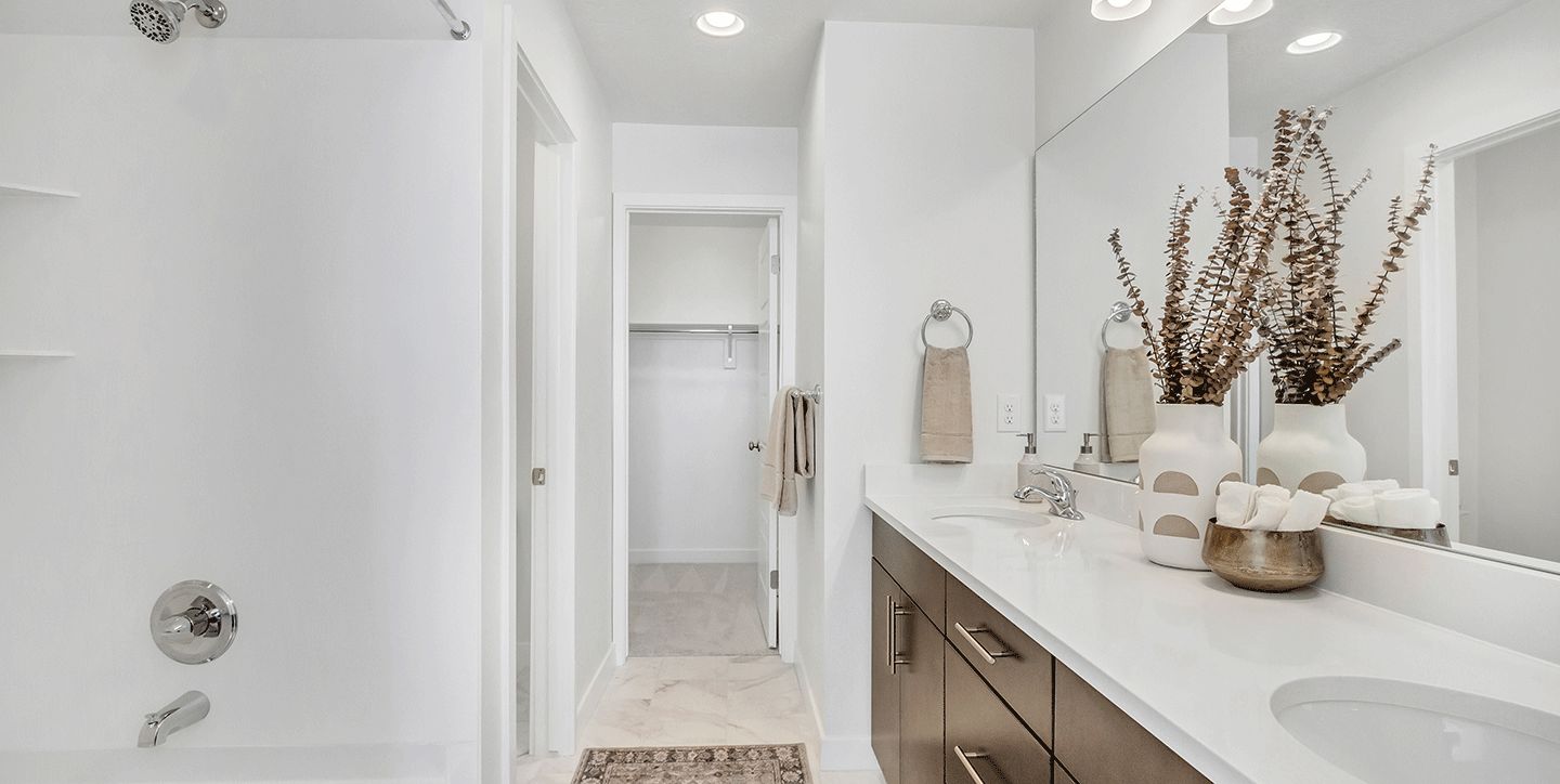 Salt Point Legacy Yale