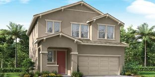 The Waterlily - Huckleberry Park: Visalia, California - Woodside Homes