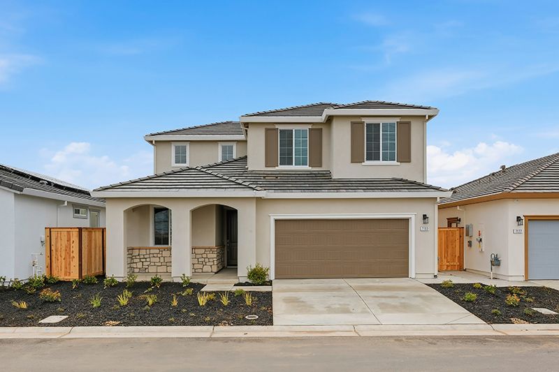 697 Great Copper Street (Dahlia)